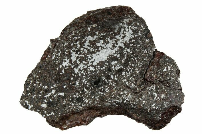 Polished Stony-Iron Mesosiderite Meteorite ( g) - Chile #242891